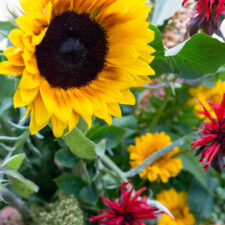 Sunflower Wedding Centerpiece